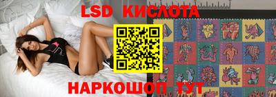 гашик Будённовск