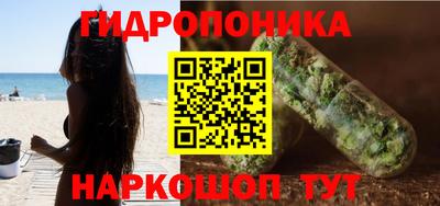 гашик Будённовск