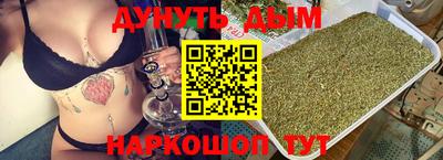 гашик Будённовск