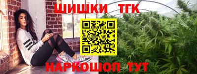 гашик Будённовск