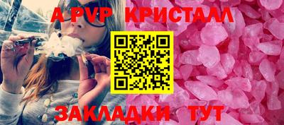 гашик Будённовск