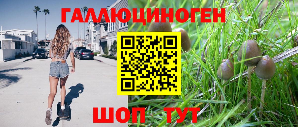 Озёры  Псилоцибиновые грибы Psilocybine cubensis  Вход с VPN 