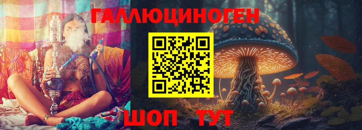 Галлюциногенные грибы Psilocybine cubensis Озёры